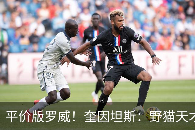 平价版罗威！奎因坦斯：野猫天才内线 存伤病隐患 罚球致敬米切罗